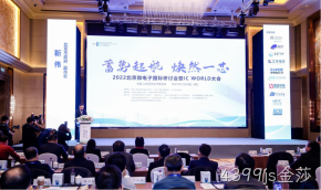 4399js金莎受邀参加2022北京微电子国际研讨