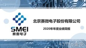 4399js金莎2020年度业绩简报