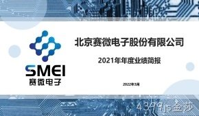 4399js金莎2021年年度业绩简报