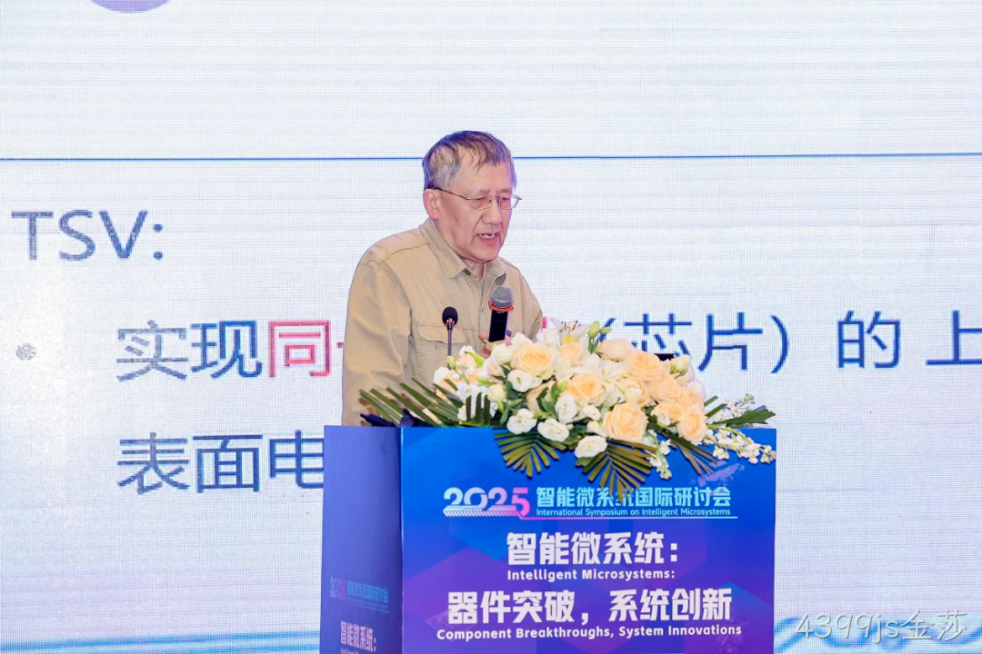 4399js金莎参加2025智能微系统研讨会